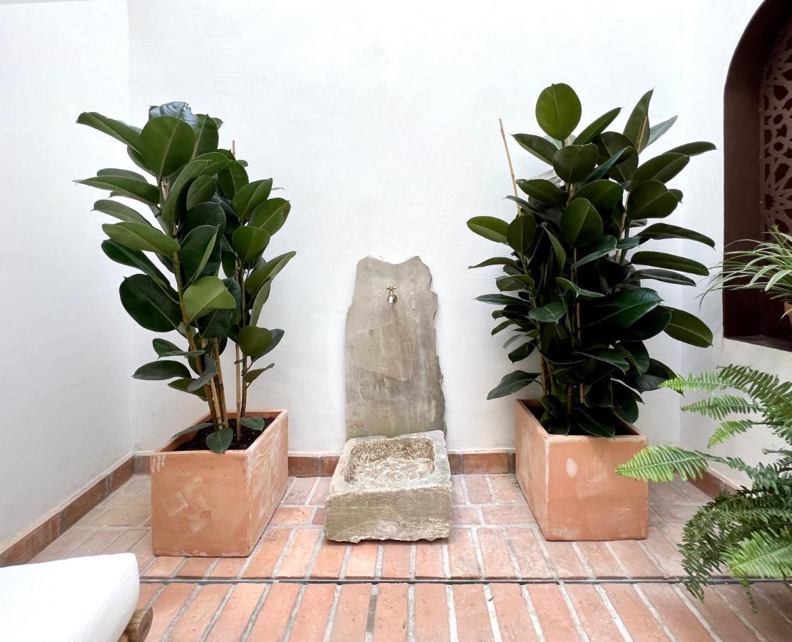 Arcos De Medina - Apartamentos Premium Córdoba Kültér fotó